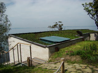 DSC06638.JPG