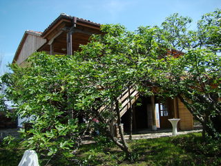 DSC06642.JPG