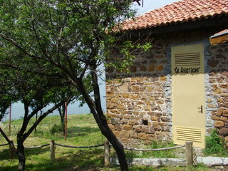 DSC06645.JPG
