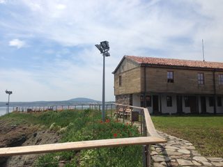 IMG_5518.jpg