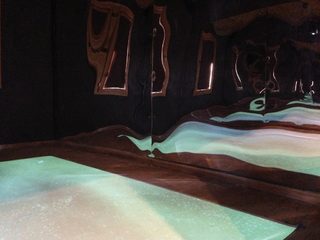 IMG_5528.jpg