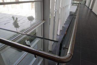IMG_7782.jpg