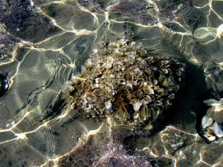 IMG_8567.jpg