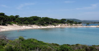 IMG_8632.jpg
