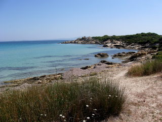 IMG_8646.jpg