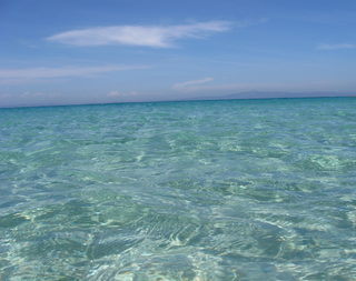 IMG_8672.jpg