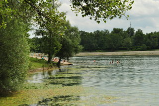 DSC_0042.JPG