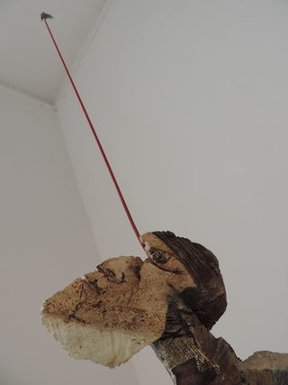 DSCN9597.JPG