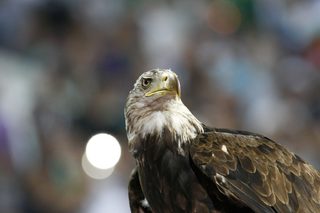 _AP_9079.jpg