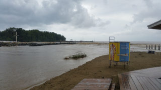 20140906_110648.jpg