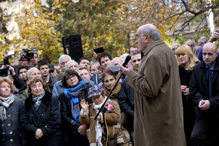 P03046784N.jpg