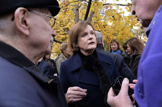 P03046789N.jpg
