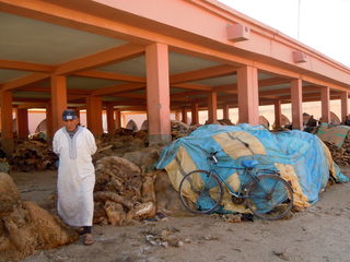 DSCN0250.JPG