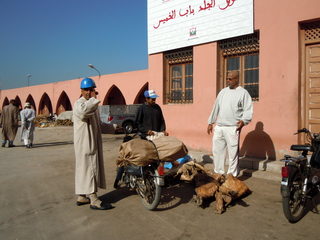 DSCN0245.JPG