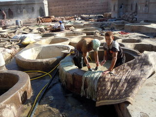 DSCN0229.JPG