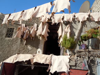 DSCN0211.JPG