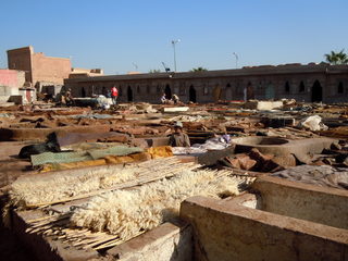 DSCN0209.JPG