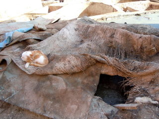 DSCN0206.JPG