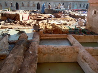 DSCN0205.JPG