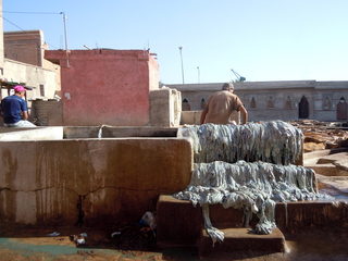 DSCN0203.JPG