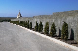 13.JPG
