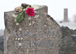 AP120127127294.jpg