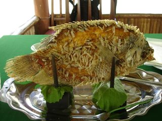 food 2 elephant ear fish from the mekong.jpg