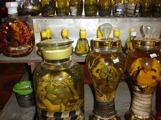 food 9  vietnamese liqor, must be very healthy.jpg