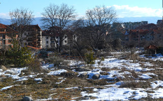 P03050797J.jpg