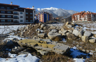 P03050798J.jpg