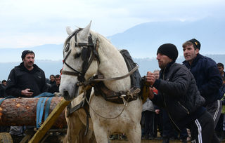 aUL_1921.jpg