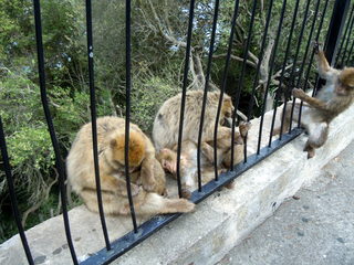 DSCN5641.JPG