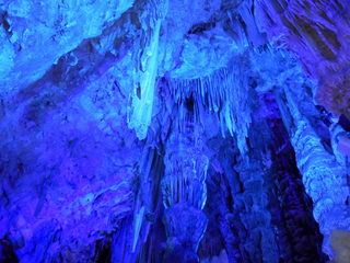 DSCN5616.JPG