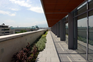 P03055635J.jpg