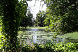 IMG_2587.jpg