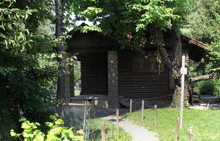 IMG_2621.jpg