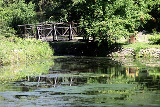 IMG_2627.jpg