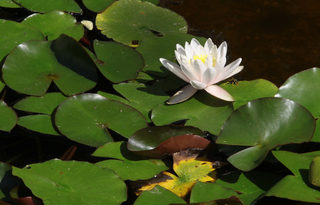 IMG_2707.jpg