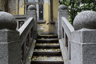 IMG_8675.jpg