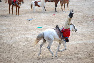 DSC_0713.JPG