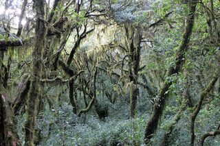 DSCF4069.jpg
