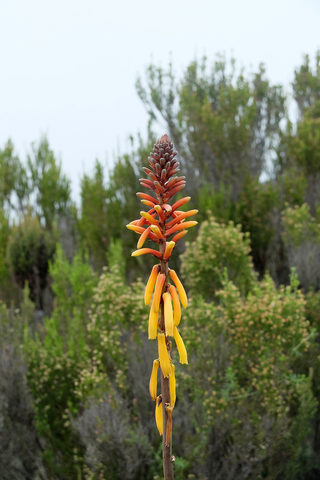 DSCF4088.jpg