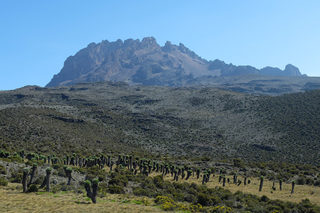 DSCF4102.jpg