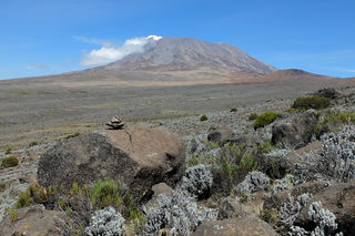 DSCF4117.jpg