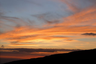 DSCF4137.jpg