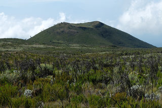 DSCF4197.jpg