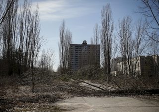 2016-03-28T212618Z_2109590779_GF10000363212_RTRMADP_3_UKRAINE-CHERNOBYL.JPG