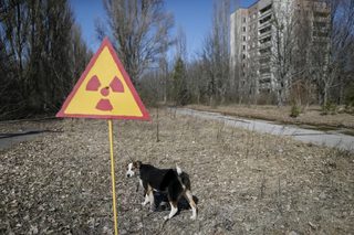 2016-03-28T213147Z_1738699818_GF10000363197_RTRMADP_3_UKRAINE-CHERNOBYL.JPG