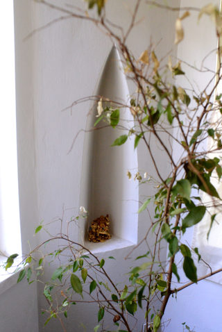 P030634176J.jpg