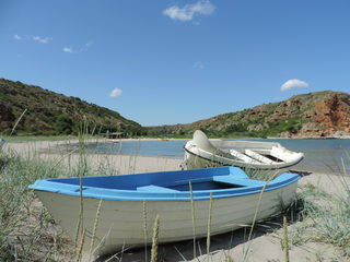 DSCN9133.JPG
